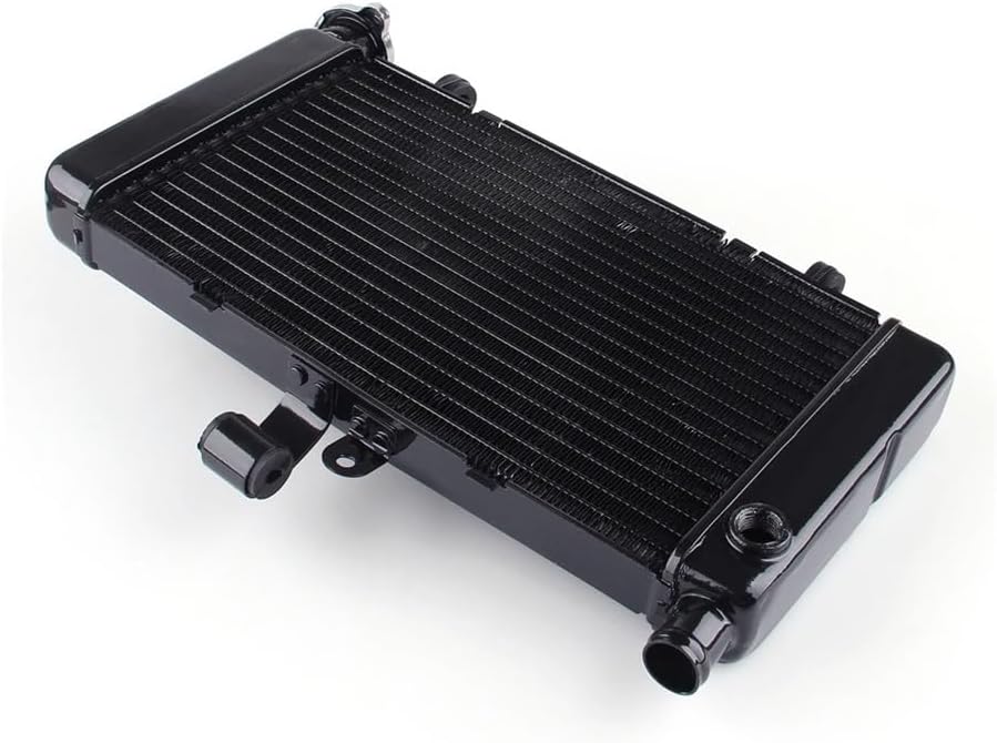 NSR50 mini ラジエーター 未使用 廃盤品